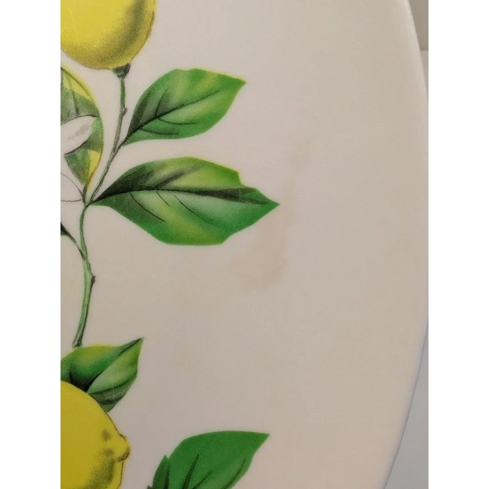 Set of 4 Texas Ware Melamine Dinner Plates Lemon Tree‎ Pattern